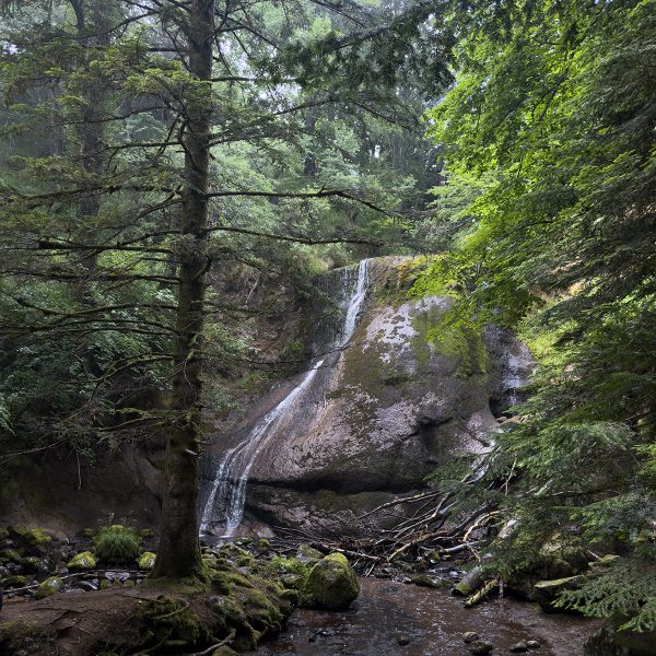 Cantal2